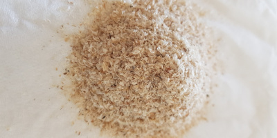 psyllium recenzie, skúsenosti, účinky